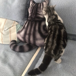 finefindmall-cat-back-cushion-15