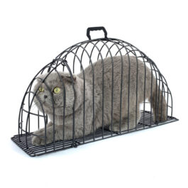 finefindmall-cat-bath-cage-04
